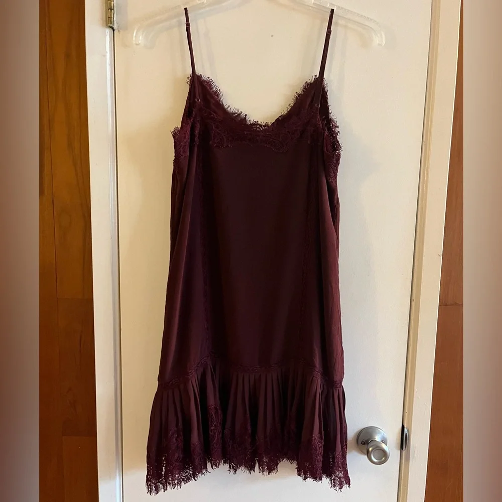 Gold Hawk Pleated Lace Silk Dress - Picture 3 of 6